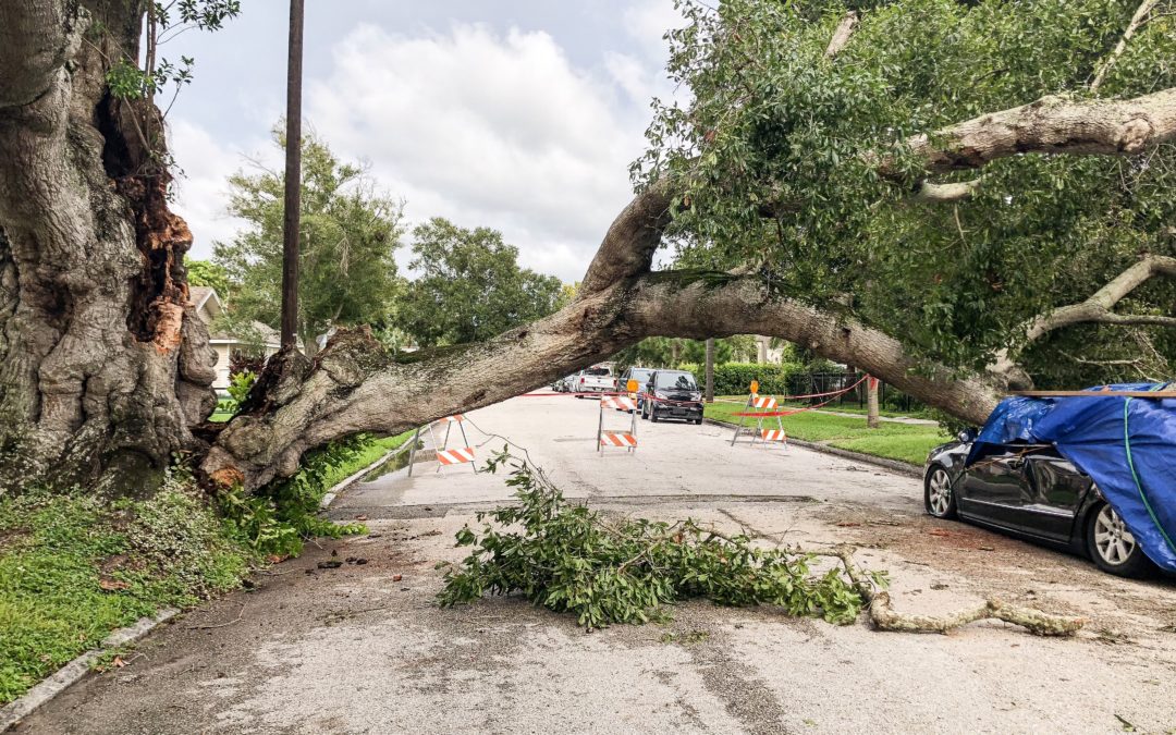 How International Sureties Dealt With Hurricane Ida